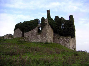 Carbury Castle